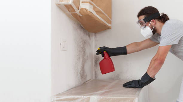 Professional Crawl Space Mold Removal technician working in Farmville, NC