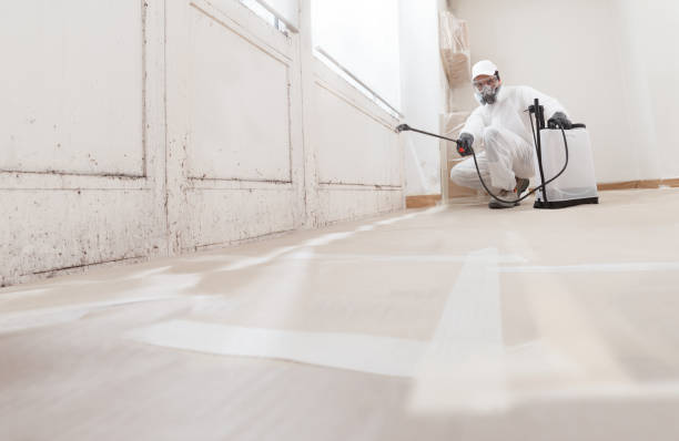 24/7 Emergency Crawl Space Mold Removal experts in Farmville, NC